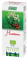 Floradix Hawthorn 200ml