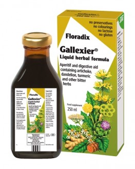 Floradix Gallexier Artichoke Supplement 250ml