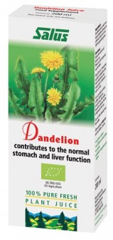 Floradix Dandelion 200ml