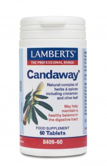 Lamberts Candaway