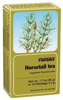 Floradix Horsetail 15 Bags