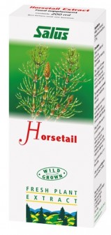Floradix Horsetail 200ml