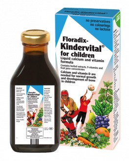 Floradix Kindervital Original