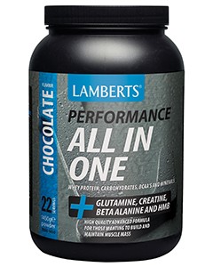 Lamberts Chocolate All IN One